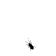 Avatar użytkownika